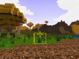 Block Craft img