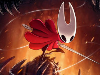 Hollow Knight Online img