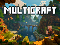 Multicraft img