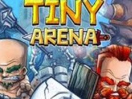 Tiny Arena img